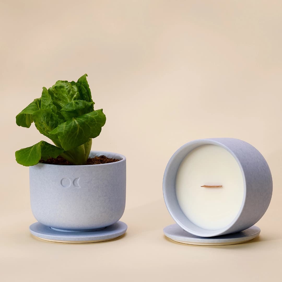 Lemongrass & Bergamot